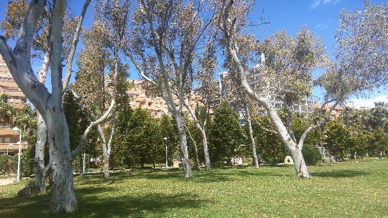 Appartement ACV - Costa Marina I-1ª Linea Planta 2 Sur à Oropesa del Mar Extérieur photo